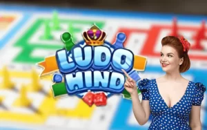 Ludo Hind Game