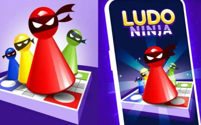 Ludo Ninja